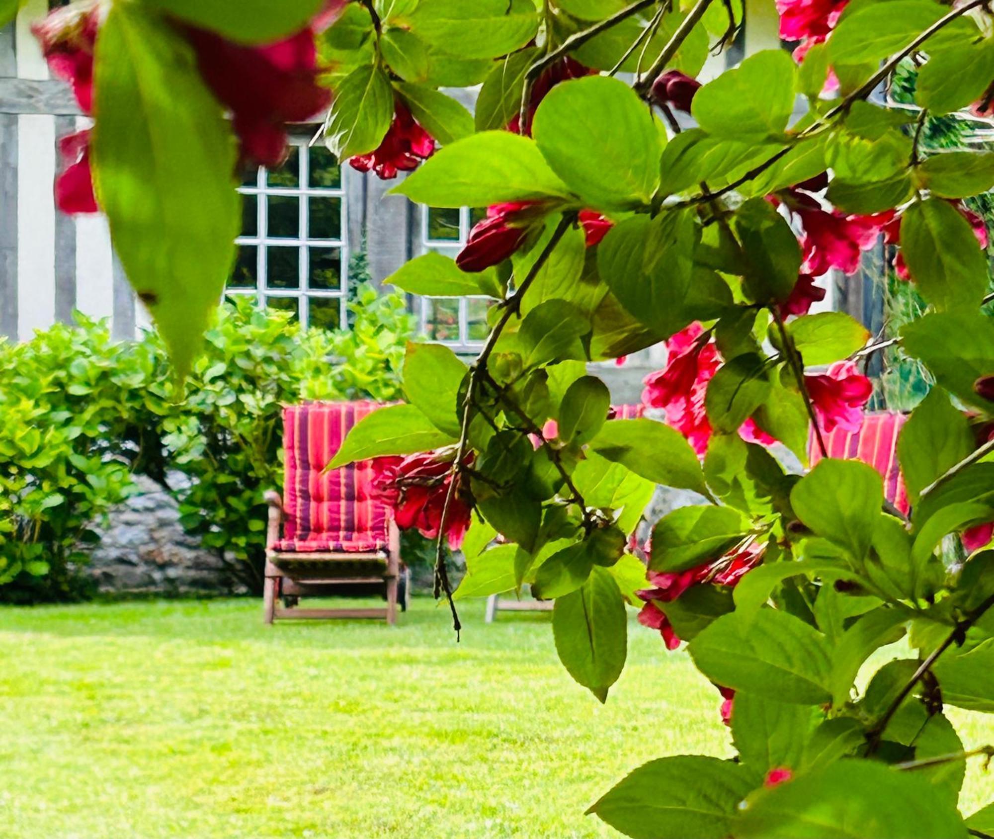 Les Hortensias Manerbe Extérieur photo