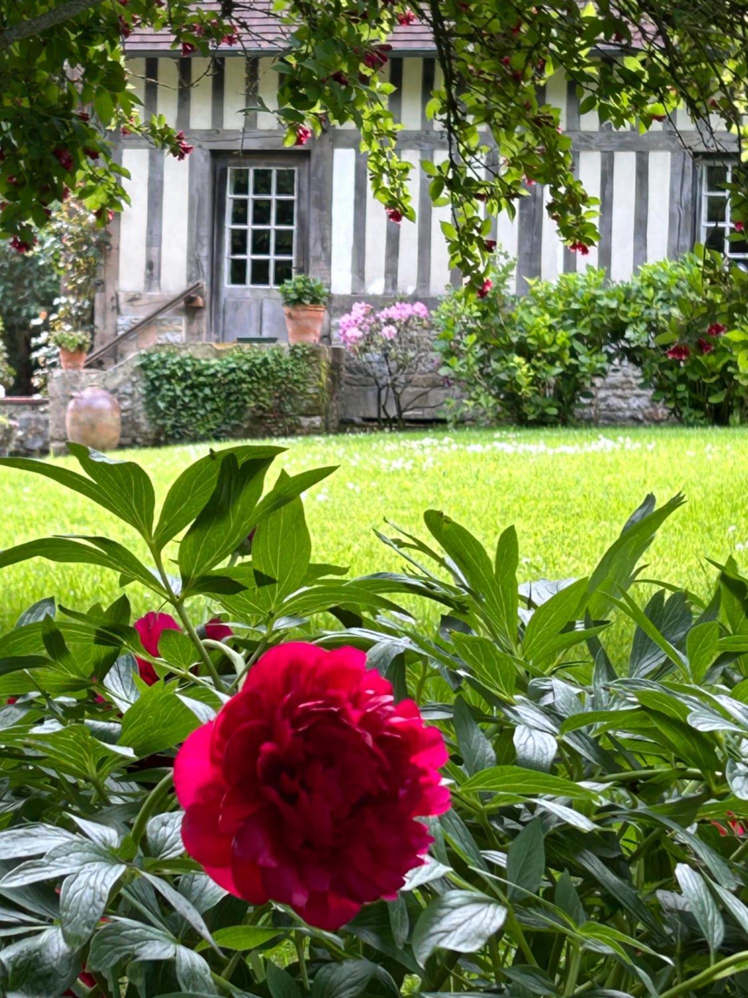 Les Hortensias Manerbe Extérieur photo